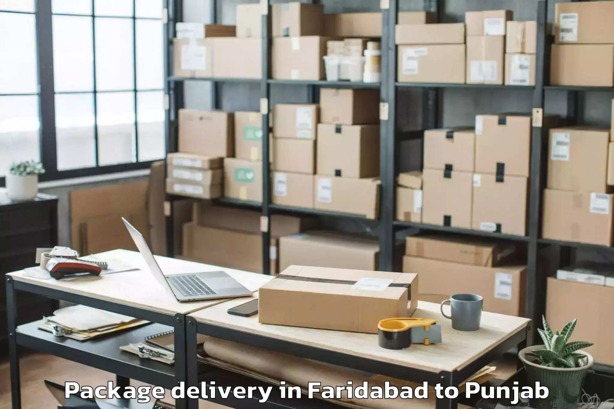 Reliable Faridabad to Kapurthala Package Delivery